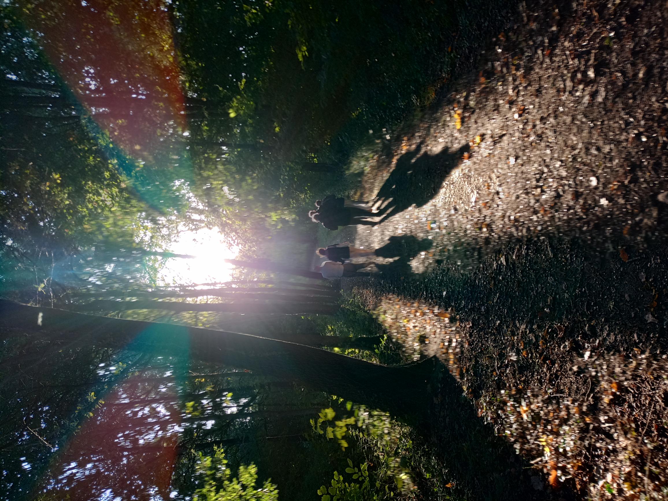 Troostwandeling